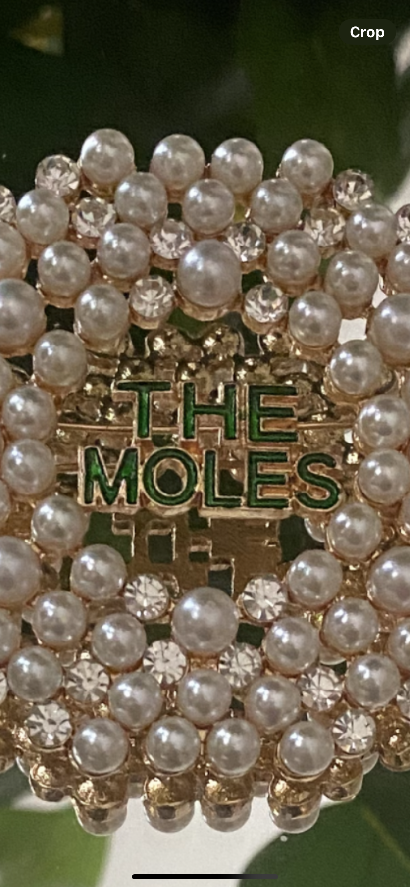 The Moles Brooch with White Pearls and Clear Rhinestones #7